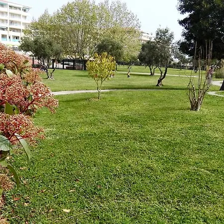 Flore Ζουάν λε Πιν